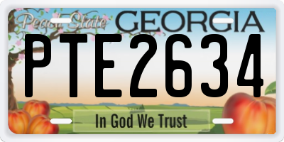 GA license plate PTE2634