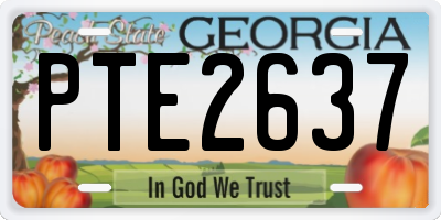 GA license plate PTE2637