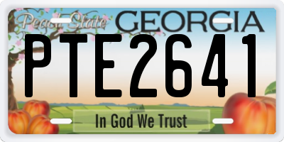 GA license plate PTE2641