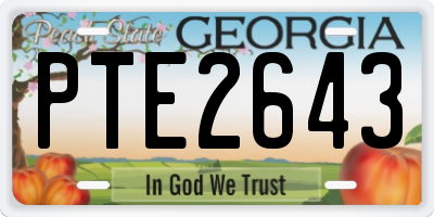 GA license plate PTE2643