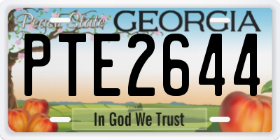 GA license plate PTE2644