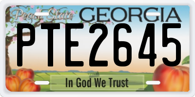 GA license plate PTE2645