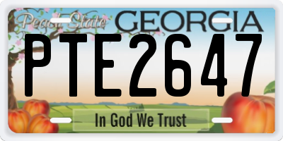 GA license plate PTE2647