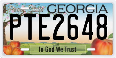 GA license plate PTE2648