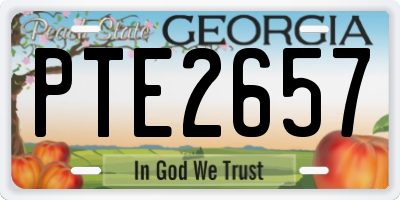 GA license plate PTE2657