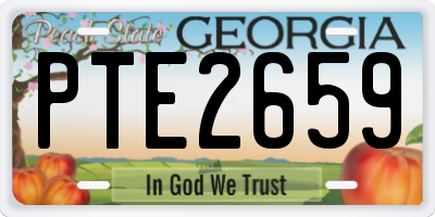 GA license plate PTE2659