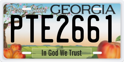 GA license plate PTE2661