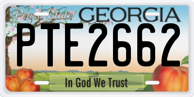 GA license plate PTE2662
