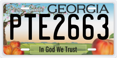 GA license plate PTE2663