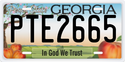 GA license plate PTE2665