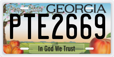 GA license plate PTE2669