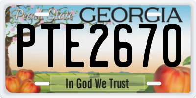 GA license plate PTE2670