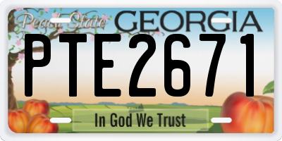 GA license plate PTE2671