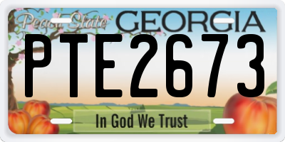 GA license plate PTE2673