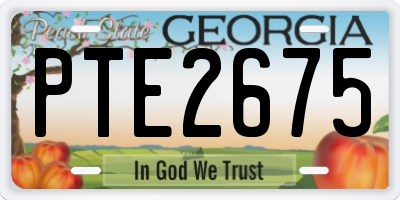 GA license plate PTE2675