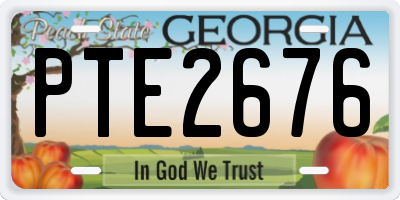 GA license plate PTE2676