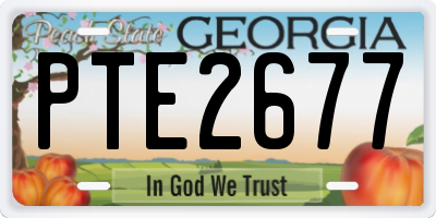 GA license plate PTE2677