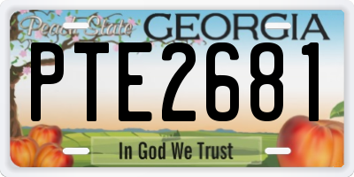 GA license plate PTE2681