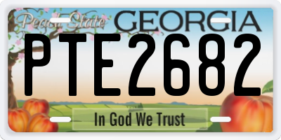 GA license plate PTE2682