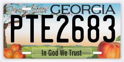 GA license plate PTE2683