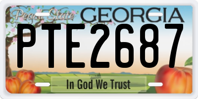 GA license plate PTE2687