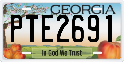 GA license plate PTE2691