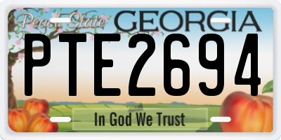 GA license plate PTE2694