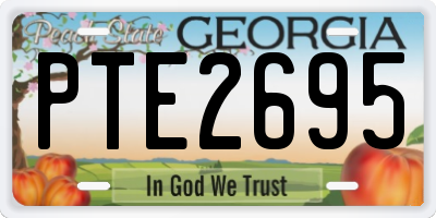 GA license plate PTE2695