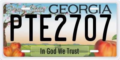 GA license plate PTE2707