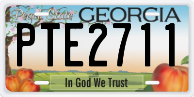 GA license plate PTE2711