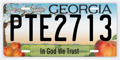 GA license plate PTE2713
