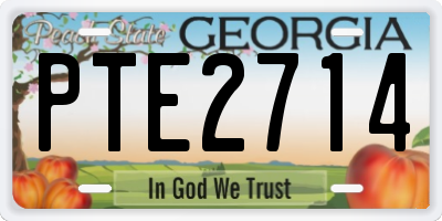 GA license plate PTE2714