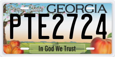 GA license plate PTE2724