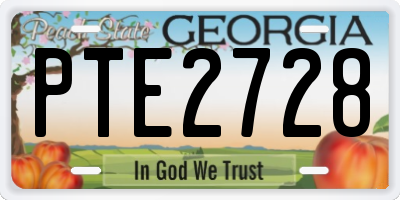 GA license plate PTE2728