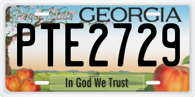 GA license plate PTE2729