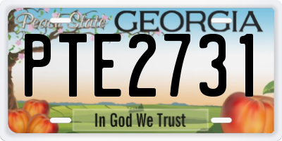 GA license plate PTE2731
