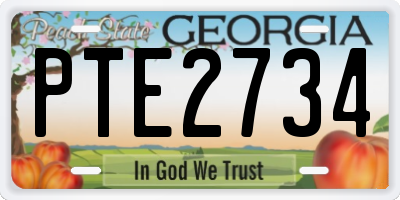 GA license plate PTE2734