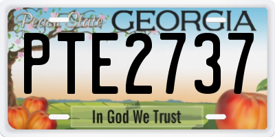 GA license plate PTE2737