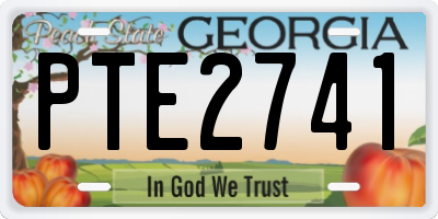 GA license plate PTE2741
