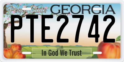 GA license plate PTE2742