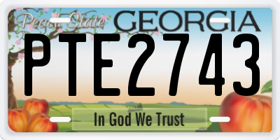 GA license plate PTE2743