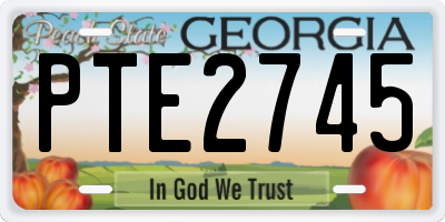 GA license plate PTE2745