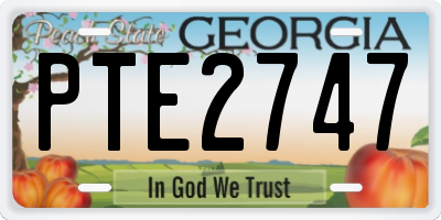 GA license plate PTE2747