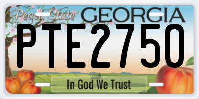 GA license plate PTE2750