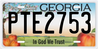 GA license plate PTE2753
