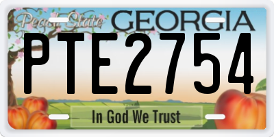 GA license plate PTE2754