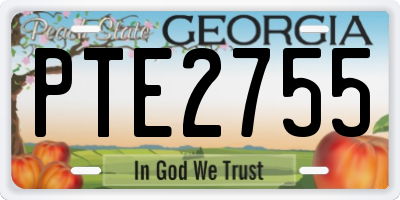 GA license plate PTE2755