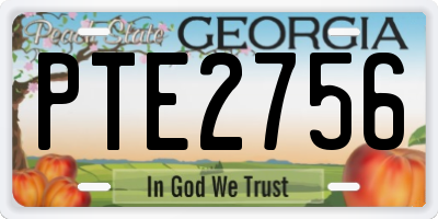 GA license plate PTE2756