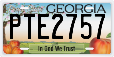 GA license plate PTE2757