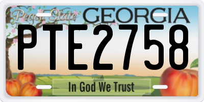 GA license plate PTE2758